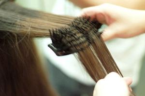 Asteriaのロサ プロテージェについて